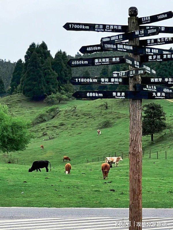 较好 重庆六日游路线推荐这篇攻略告诉你麻